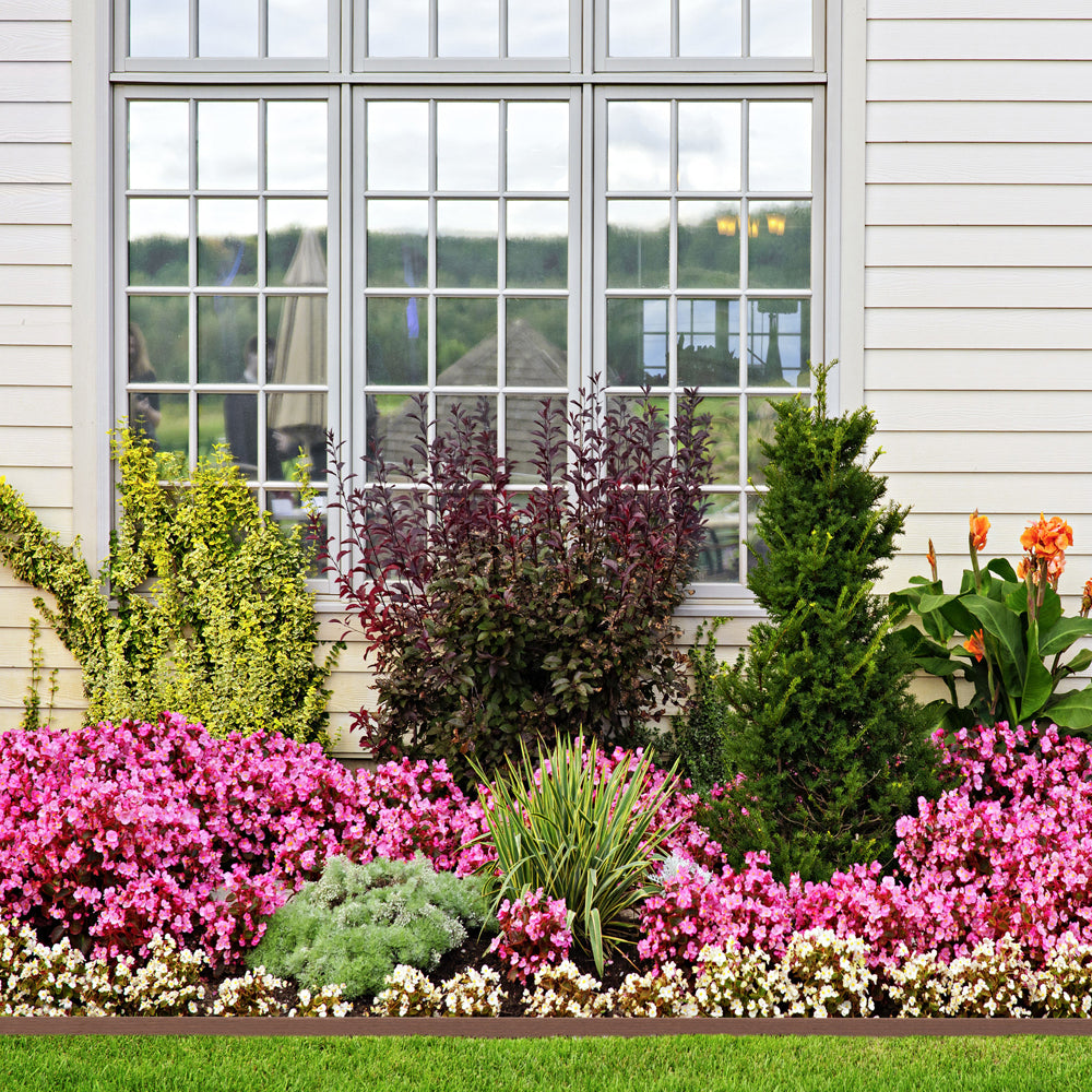 Picture of garden with Spring Gardener™ 20 ft. Landscape Edging