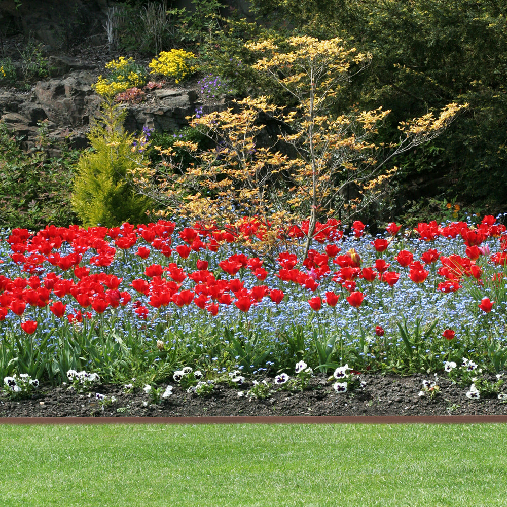 Spring Gardener™ 20 ft. Landscape Edging