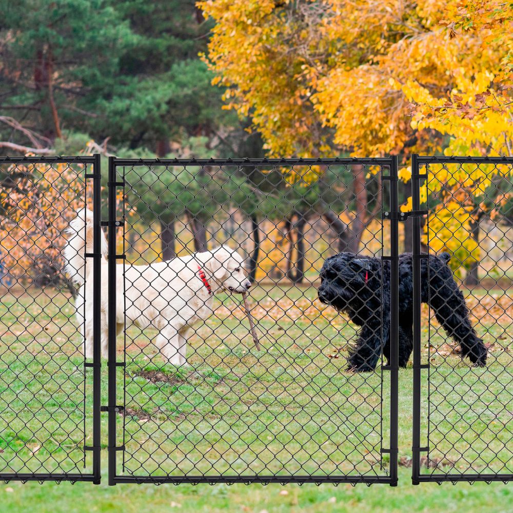 Two dogs playing in front of a Fit-Right gate